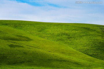 巴里坤草原风光