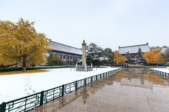 北京大学办公楼华表雪景