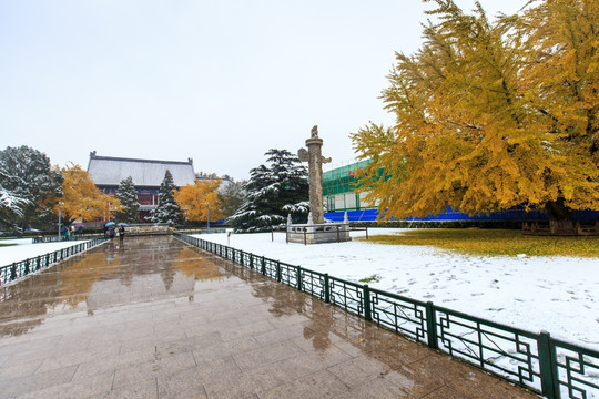 北京大学办公楼华表雪景