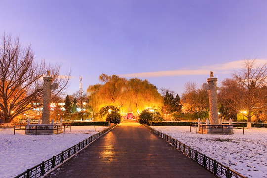 北京大学西校门华表雪景夜景