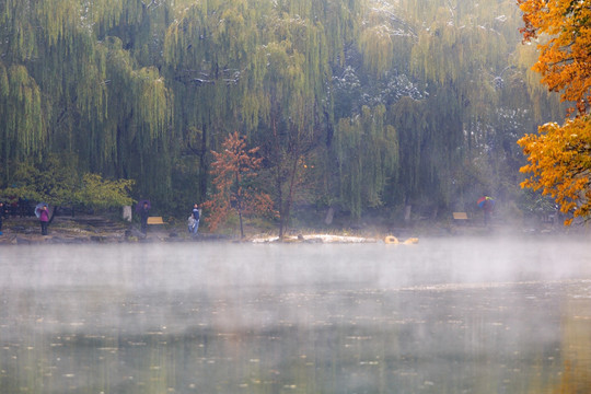 北大校园风光未名湖秋色