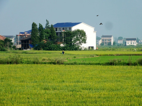 美丽乡村