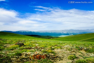 巴里坤草原风光