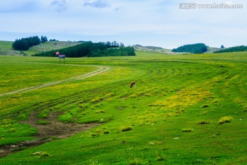 草原风光