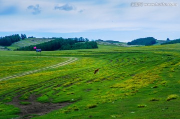 草原风光