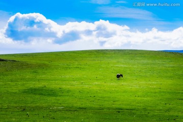 草原风光