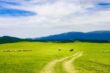 七个鹿度假村