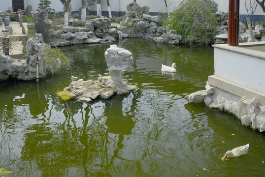 江南园林 池塘水景
