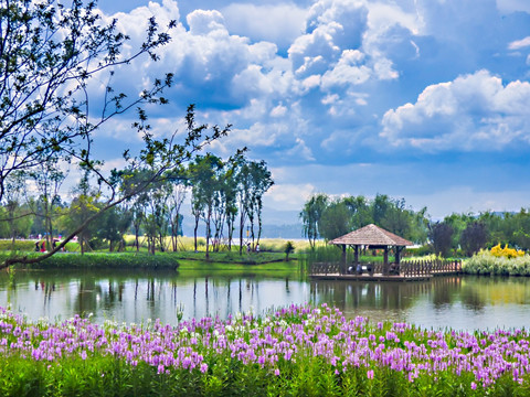 云南滇池湿地公园