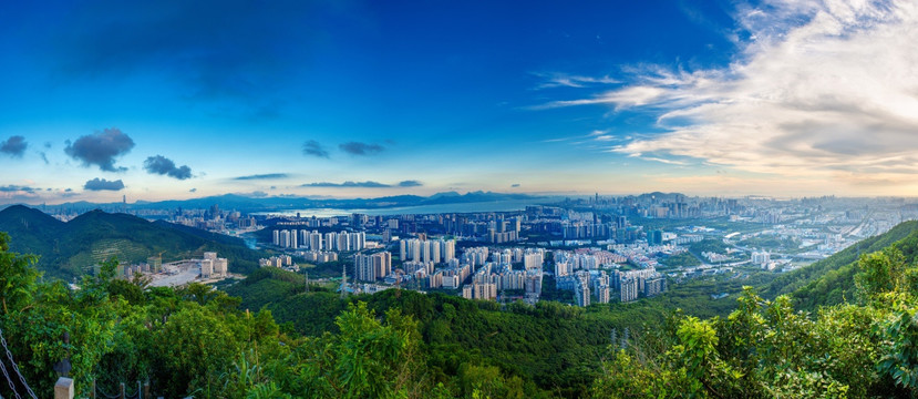 深圳风光 深圳全景 大图