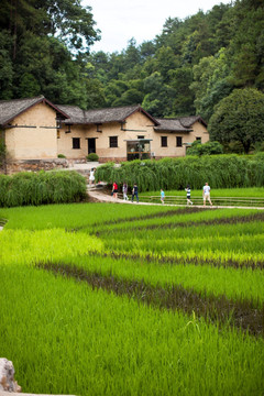 毛泽东故居