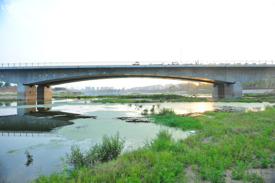 大桥 桥 跨河大桥