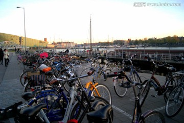 自行车 荷兰阿姆斯特丹