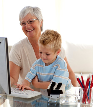 孙子和奶奶用电脑