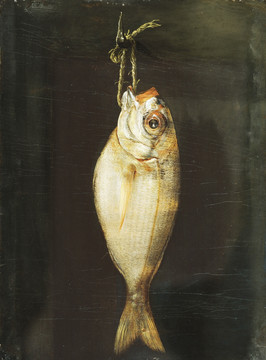 鱼 动物油画