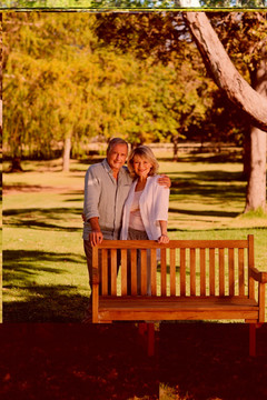 站在公园长凳后的老夫妻