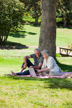 在公园使用笔记本电脑的老年夫妻