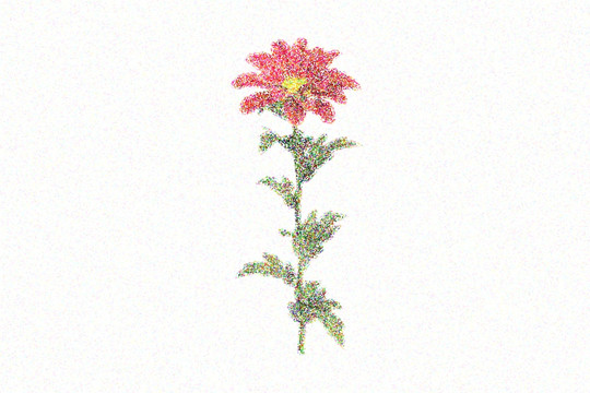 油画风格的缤菊