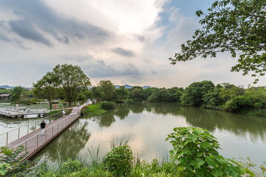 杭州西溪湿地公园景观