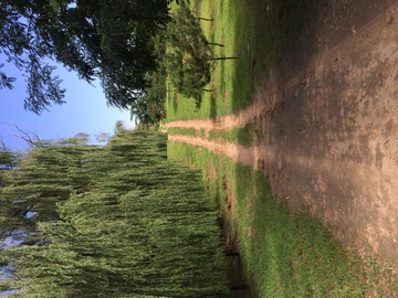 林间小道
