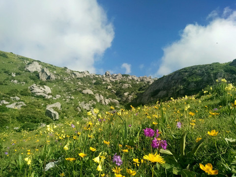 九顶山