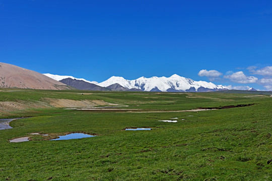 阿尼玛卿雪山