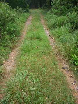 道路