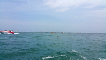 大海