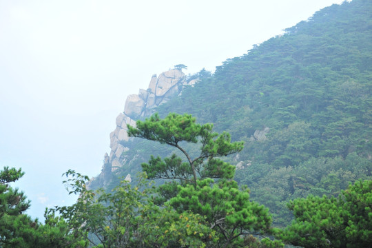 大山风景 秀美蒙山