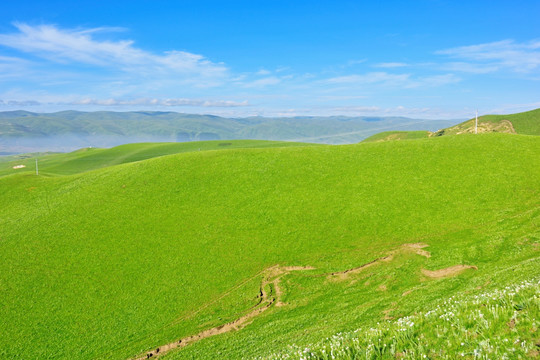 草原风光 牧区