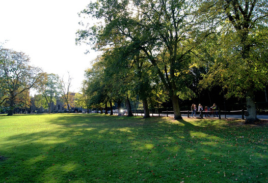 剑桥大学城草坪