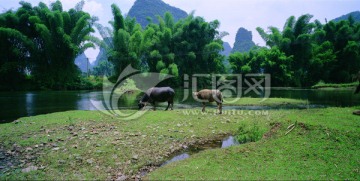 桂林风景