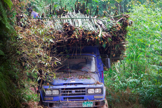 竹类制品加工运输