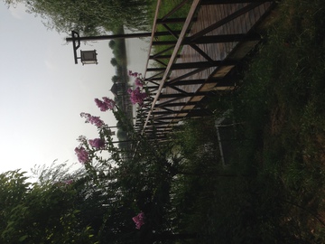 芦苇荡湿地公园