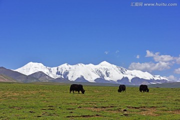 阿尼玛卿雪山