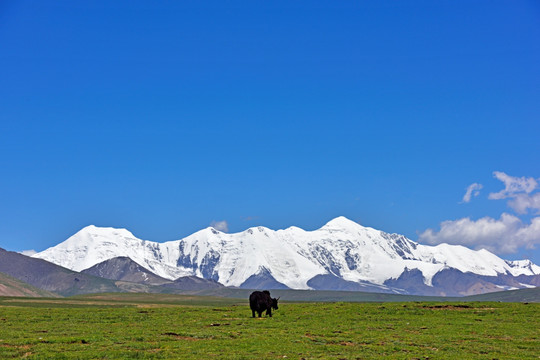 阿尼玛卿雪山