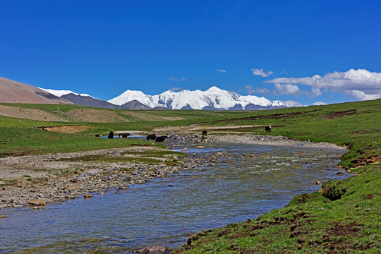 阿尼玛卿雪山