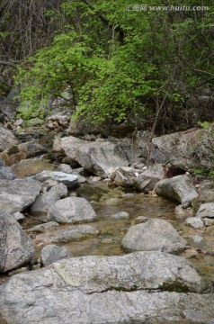 河道