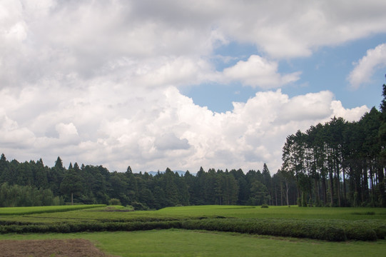 田园风景