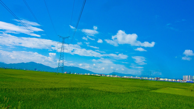 稻田风光 田园风光