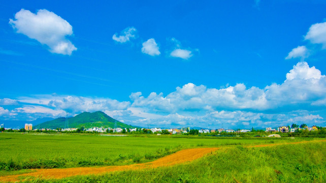 田园风光 田间小路