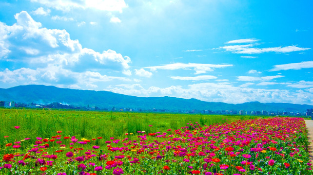 繁花似锦 花园