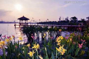 海珠湖风景