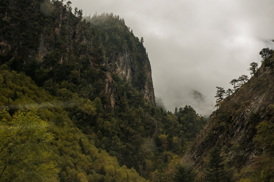 云雾山谷