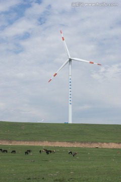 草原上的风力发电机 马群