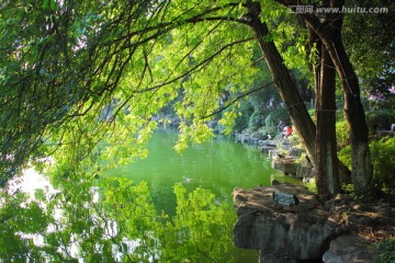 桂林杉湖