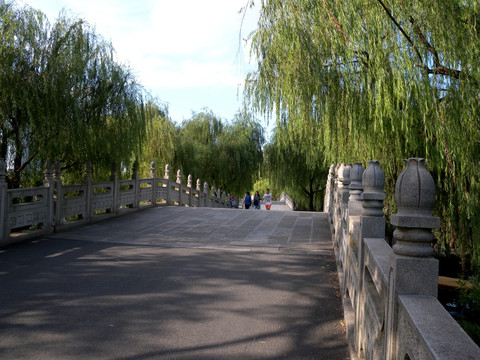 园林 石桥