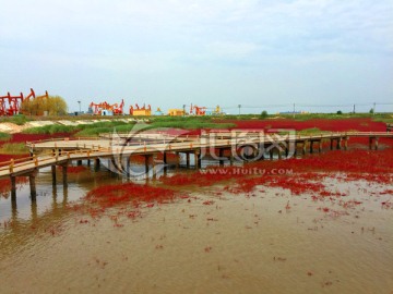 湿地 海滩 红河湿地