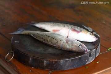 江鱼 鲈鱼 食材