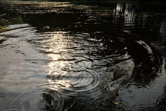 湖水 水波 湖面